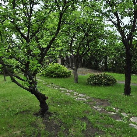 Szyszka I Roza Domek Na Jurze Zelazko Esterno foto