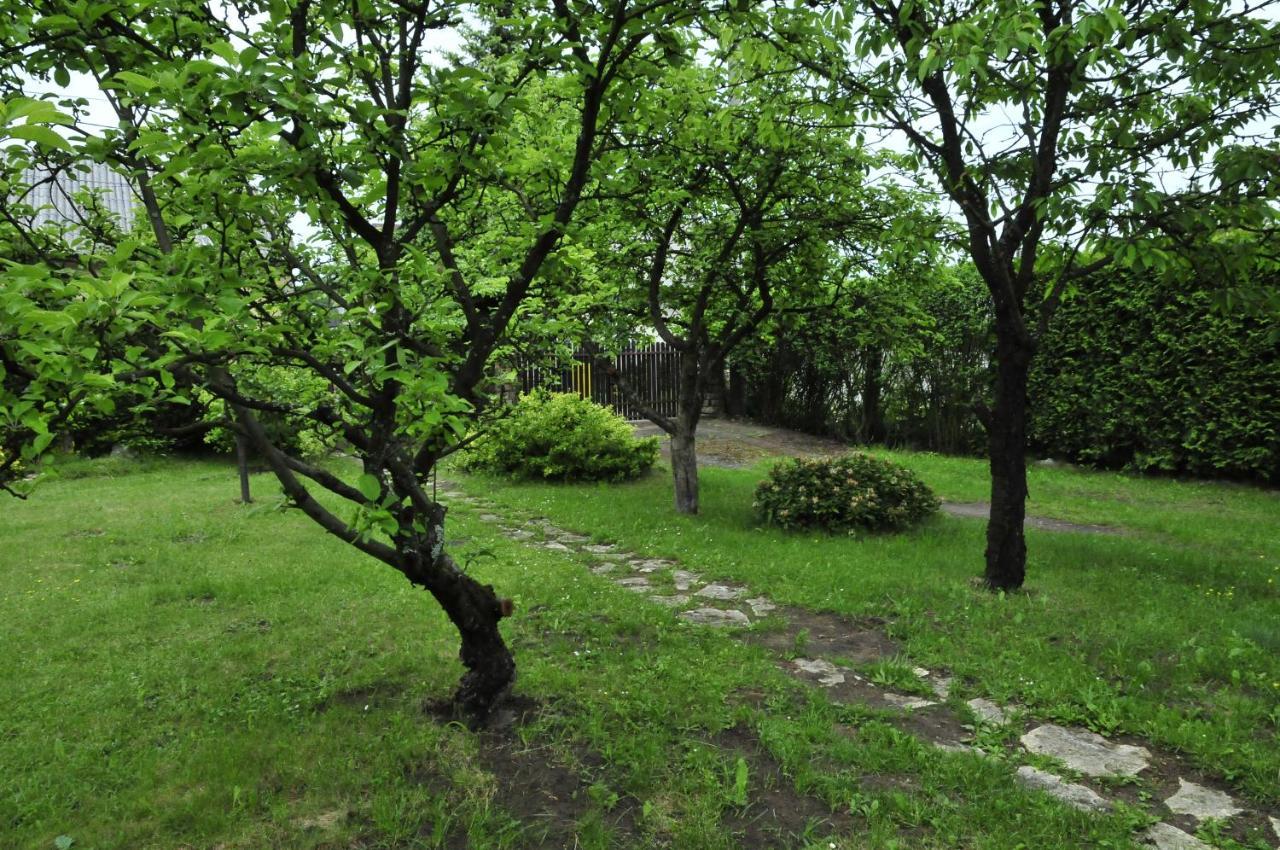 Szyszka I Roza Domek Na Jurze Zelazko Esterno foto