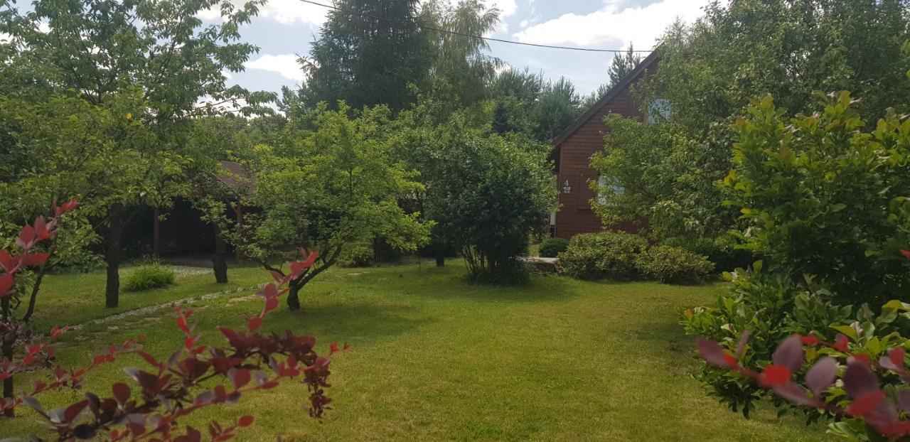 Szyszka I Roza Domek Na Jurze Zelazko Esterno foto