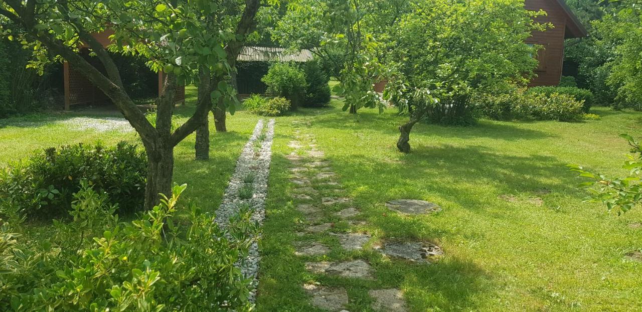 Szyszka I Roza Domek Na Jurze Zelazko Esterno foto